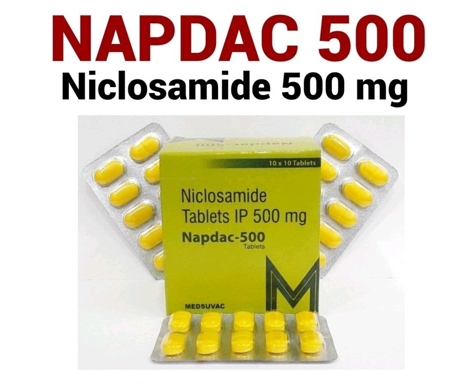 Napdac 500