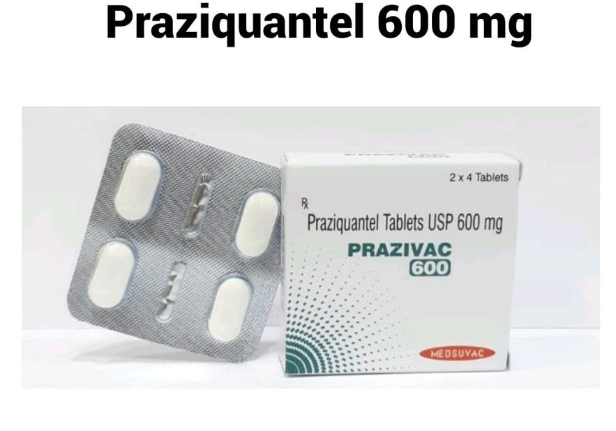 Prazivac-600